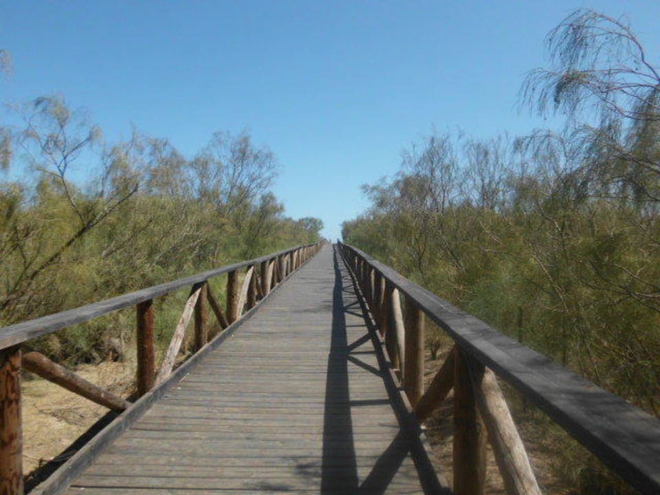 Der Weg zum Strand Playacanela Hotel