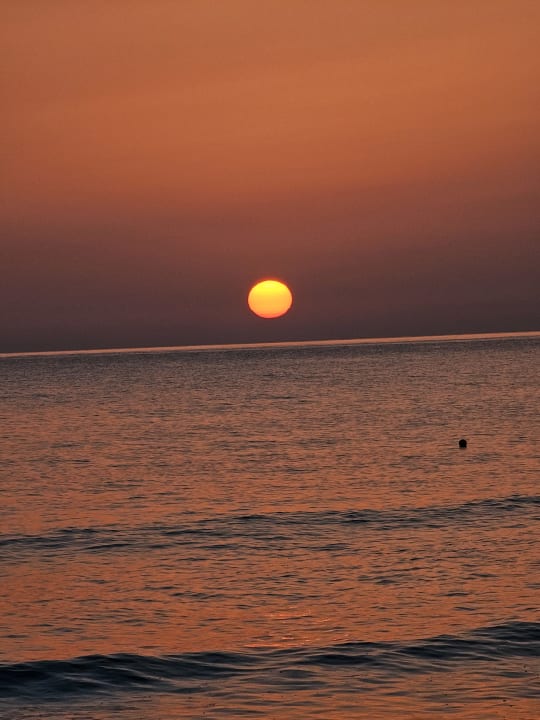 Ausblick Zeus Hotels Palm Beach