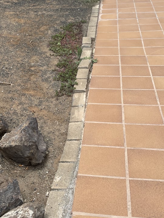 Gartenanlage Hotel Europalace