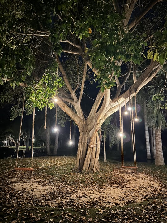 Gartenanlage Meliá Punta Cana Beach Resort - A Wellness Inclusive For Adults Only