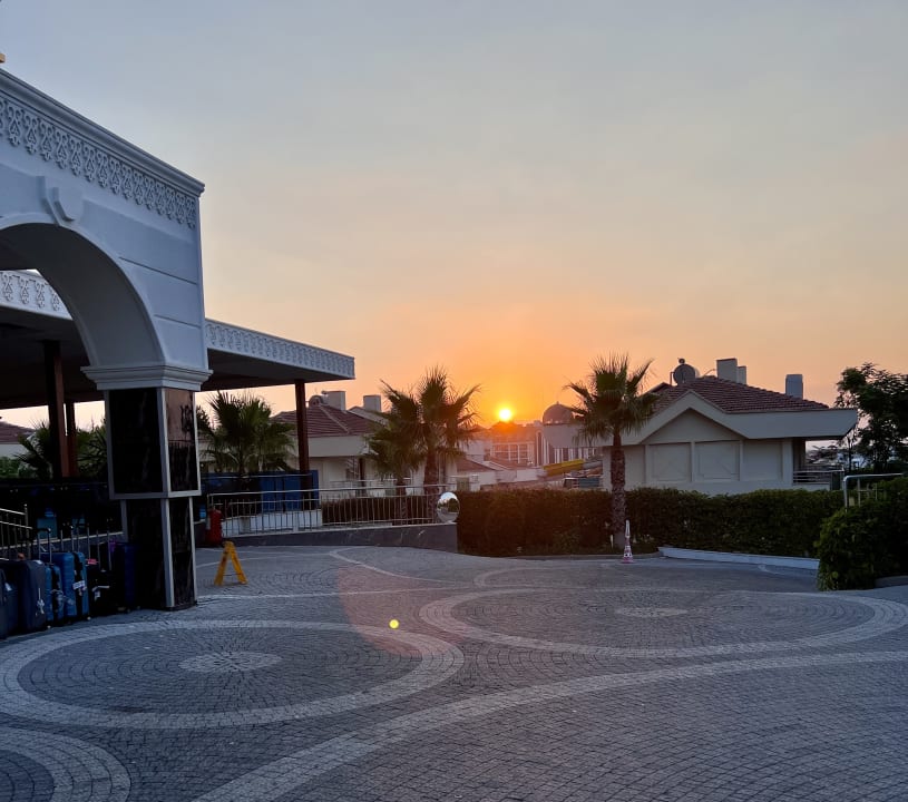 Sonstiges Dream Family Club