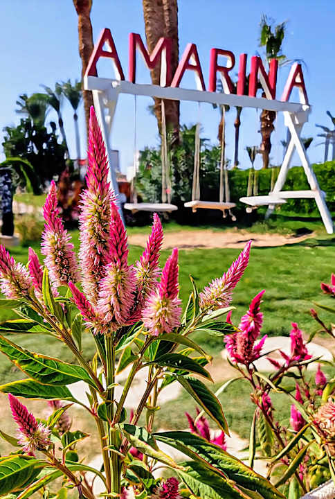 Gartenanlage Amarina Abu Soma Resort & Aquapark