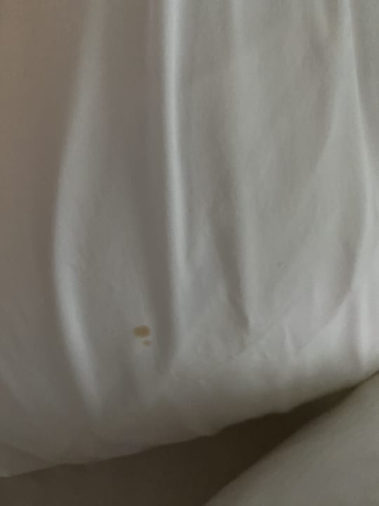 Zimmer Mylome Luxury Hotel & Resort