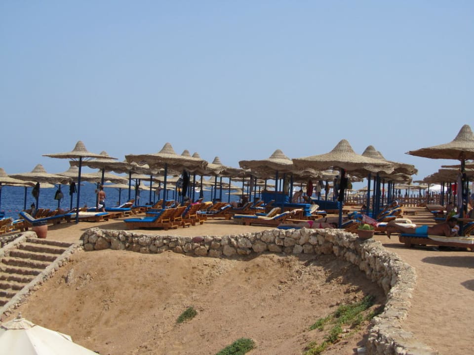 Hotel Shores Aloha Amphoras Blu