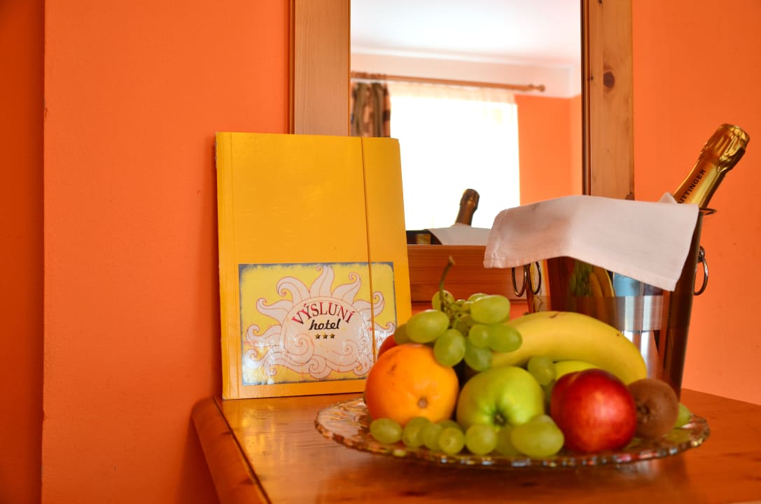 Zimmer Hotel Vysluni