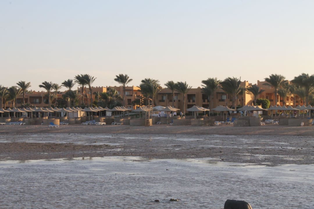 Пляж. отлив Stella Beach Resort & Spa Makadi Bay