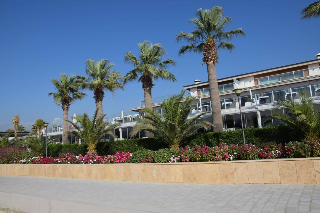 From the beach Palm Wings Kusadasi Beach Resort & Spa