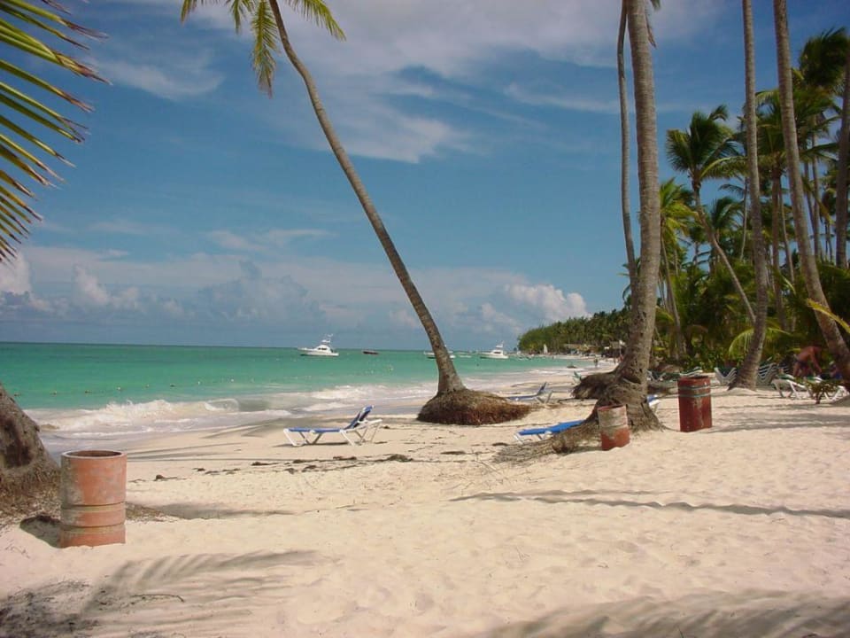 Strand am Fiesta Beach (Palladium Punta Cana) Grand Palladium Select Bávaro Resort & Spa
