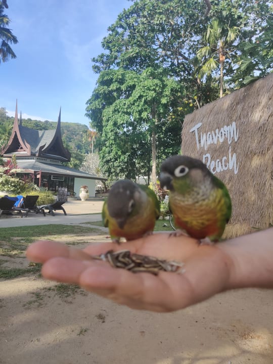 Strand Thavorn Beach Village Resort & Spa