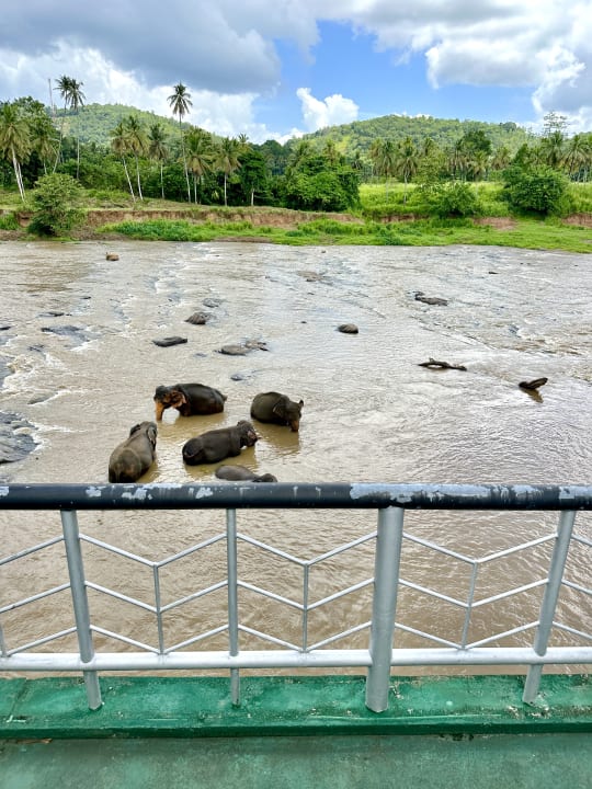Ausblick Hotel Pinnalanda - NEW DEAL! Exclusive Offers on Pickups Available!