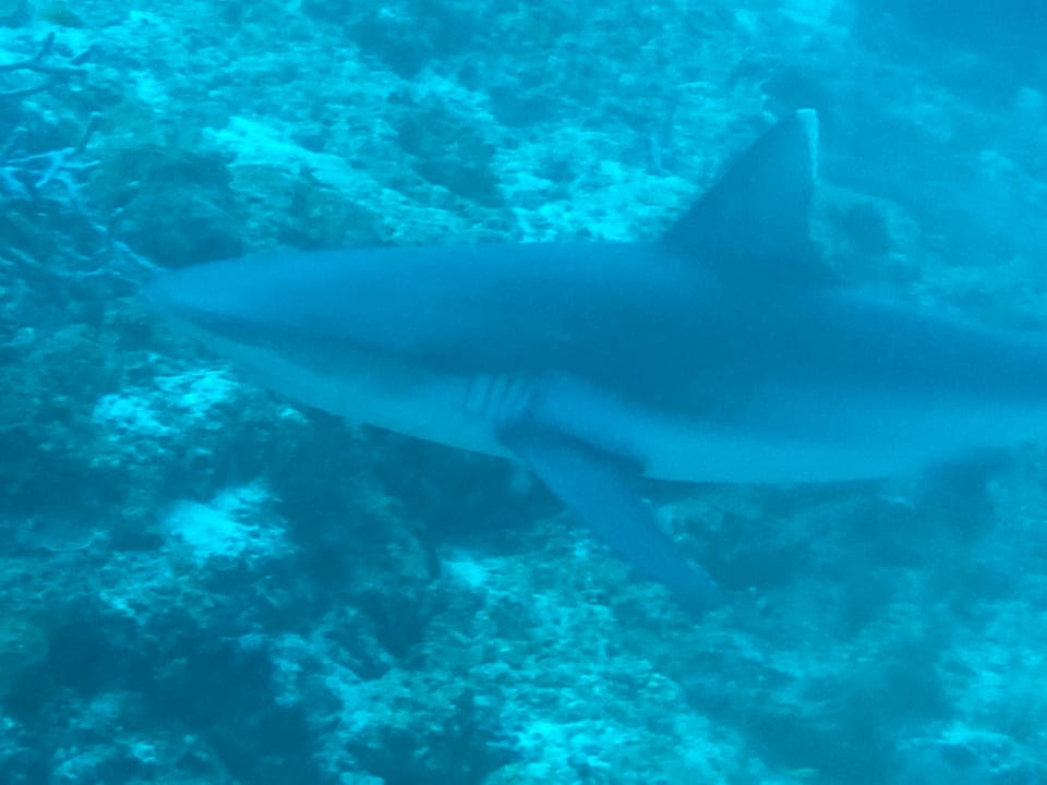 Sport & Freizeit Sun Siyam Vilu Reef