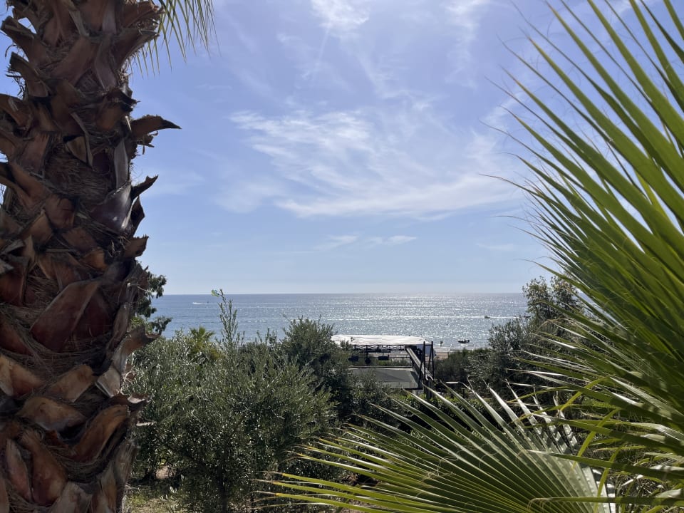 Ausblick Alba Resort Hotel