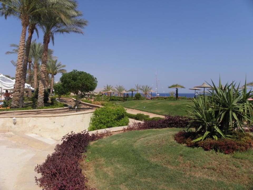 Hotel Savita Resort & Spa Siva Sharm