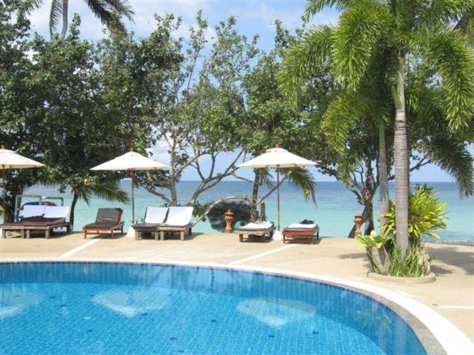 Pool mit Meerblick Long Bay Resort Koh Phangan