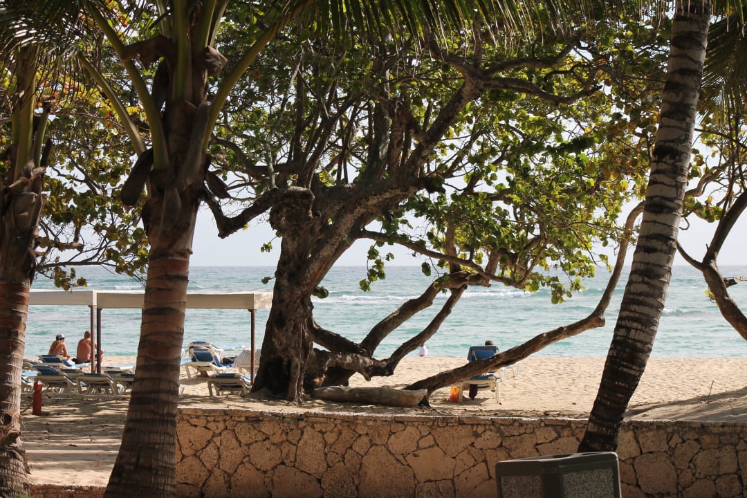 Strand Marien Puerto Plata