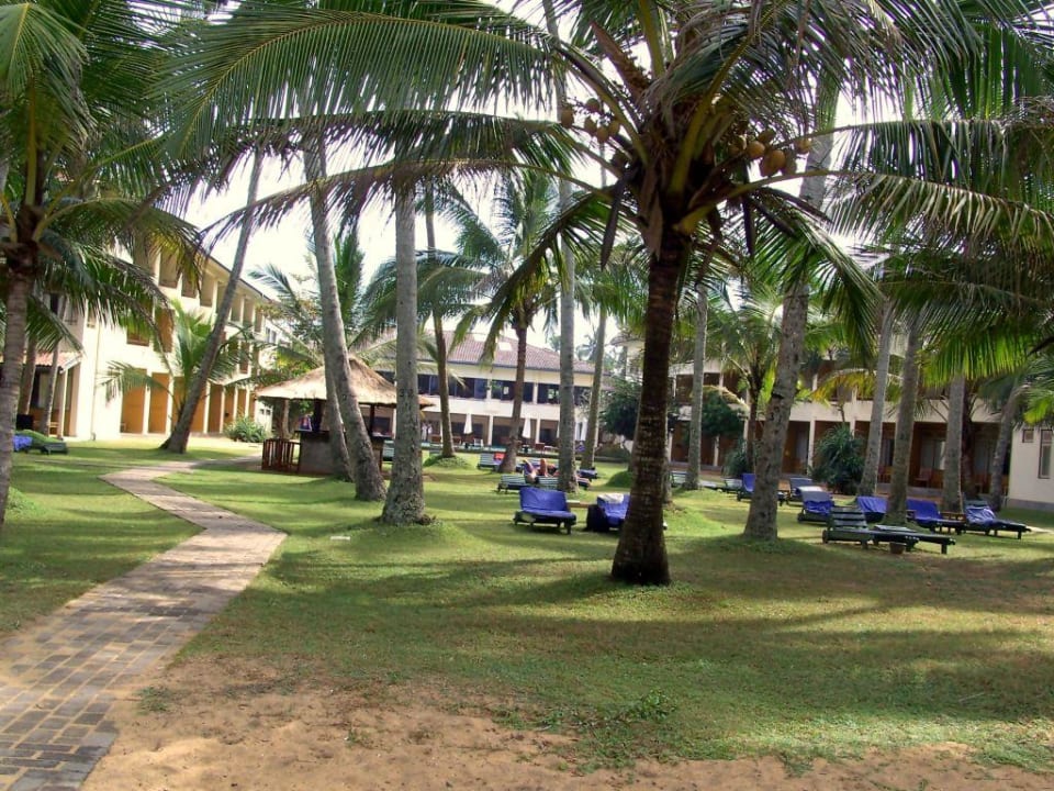 Liegen und Strandbar Mermaid Hotel & Club