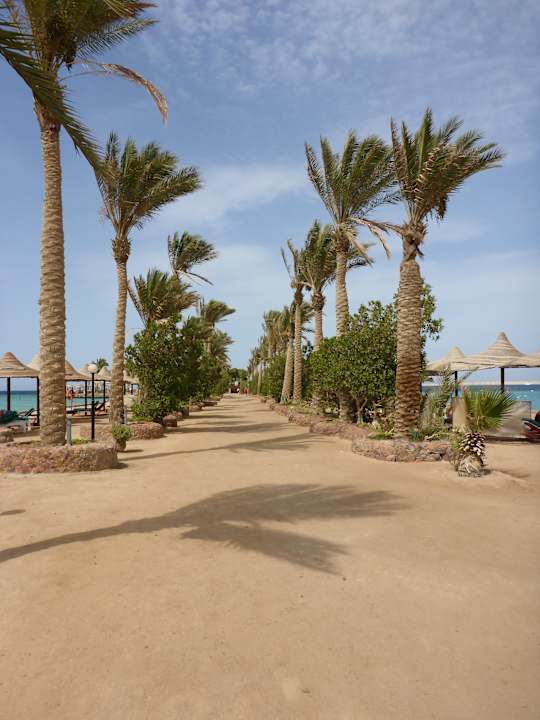 Strand Arabia Azur Resort