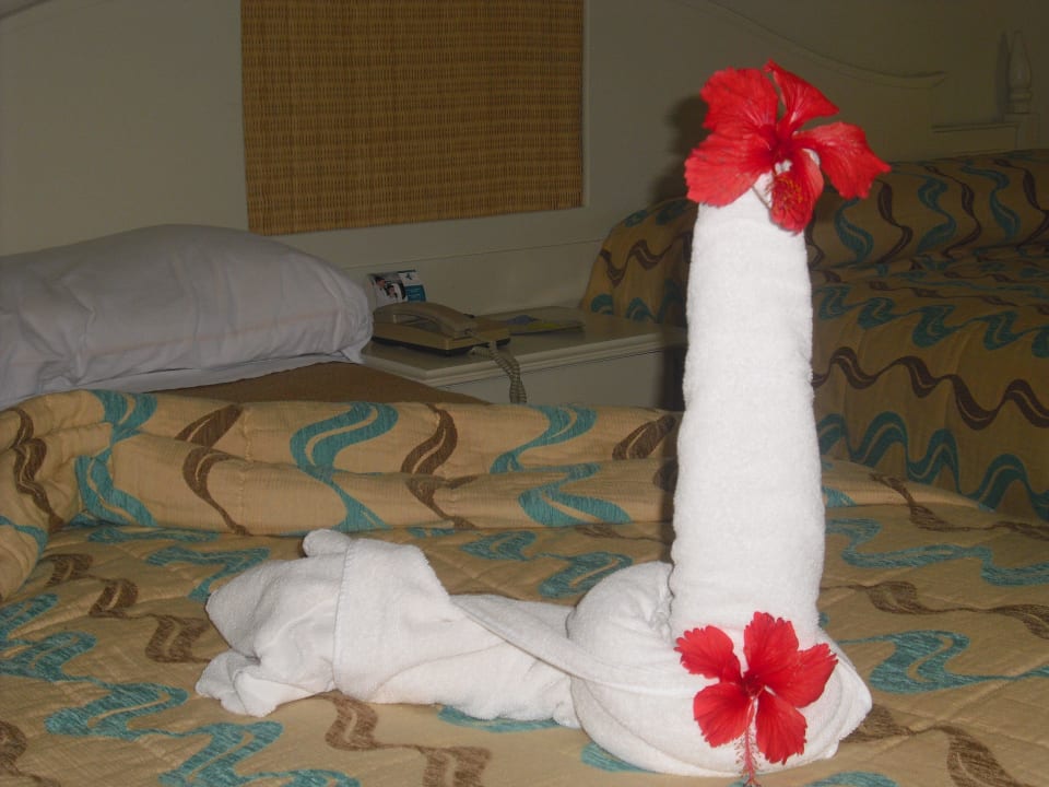 Jeden Tag... Iberostar Waves Costa Dorada