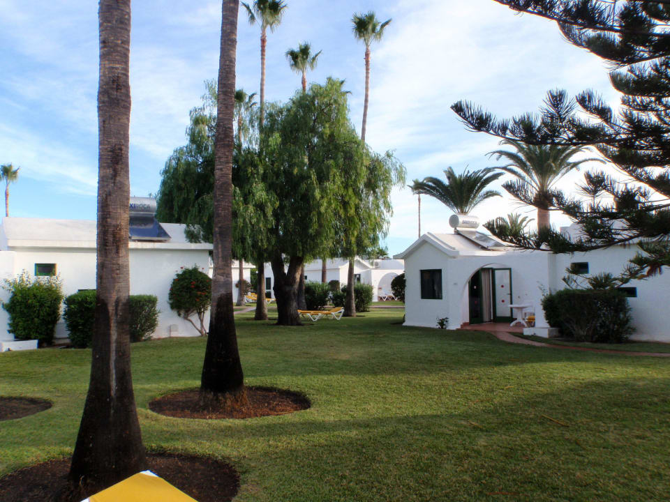 Mehr gepflegt geht nicht Canary Garden Club