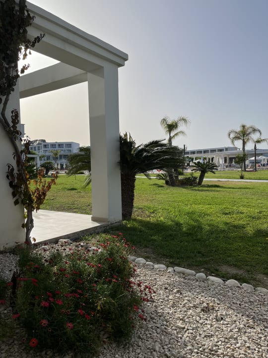 Ausblick Asterias Beach Resort