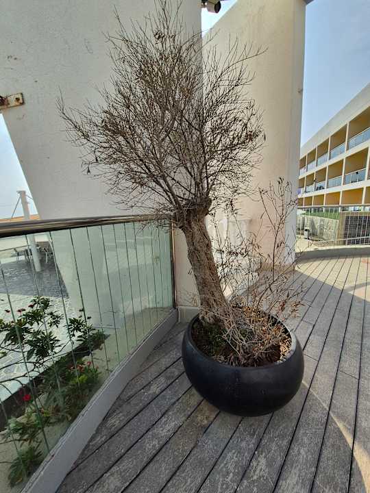 Außenansicht Radisson Blu Resort Fujairah