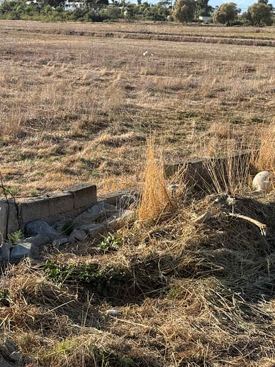 Außenansicht Summer Village of Hippokrates - Adults only