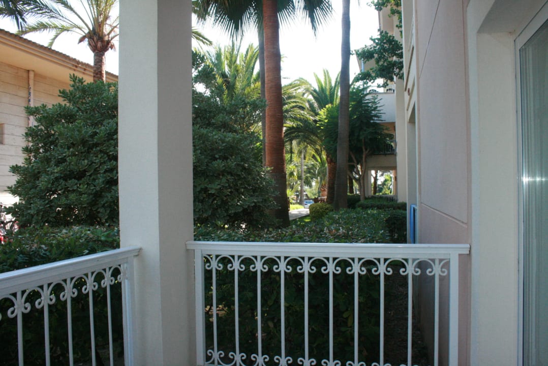 Wokół dużo palm Playa Garden Selection Hotel & Spa