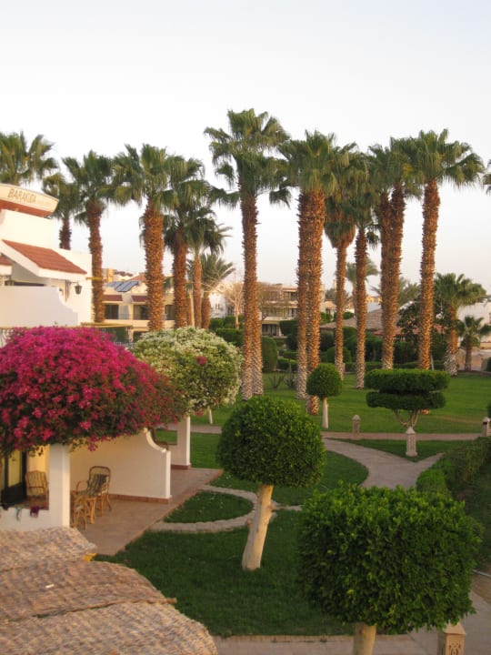 Schön grün und gepflegt! Lotus Bay Beach Resort