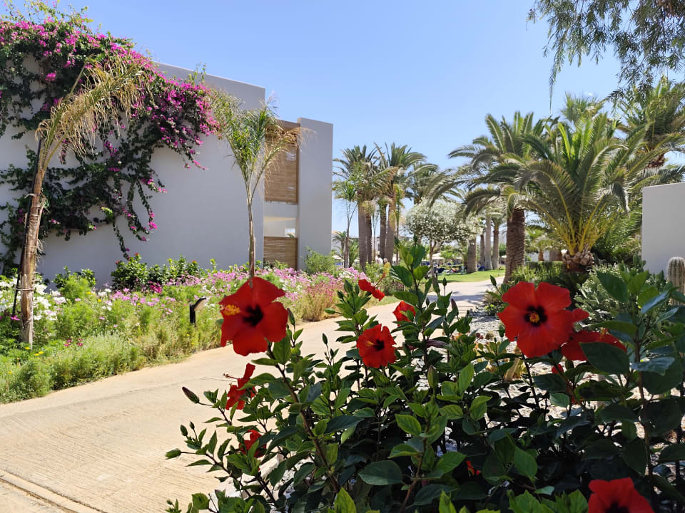 Gartenanlage Anissa Beach & Village