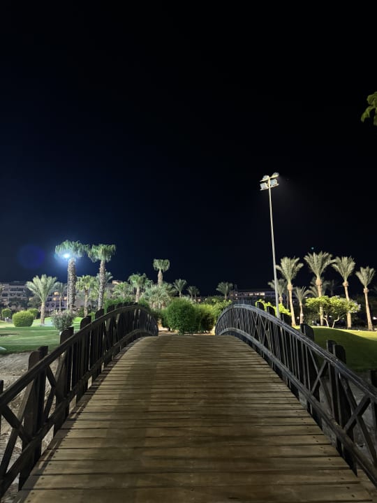 Gartenanlage Steigenberger ALDAU Beach Hotel