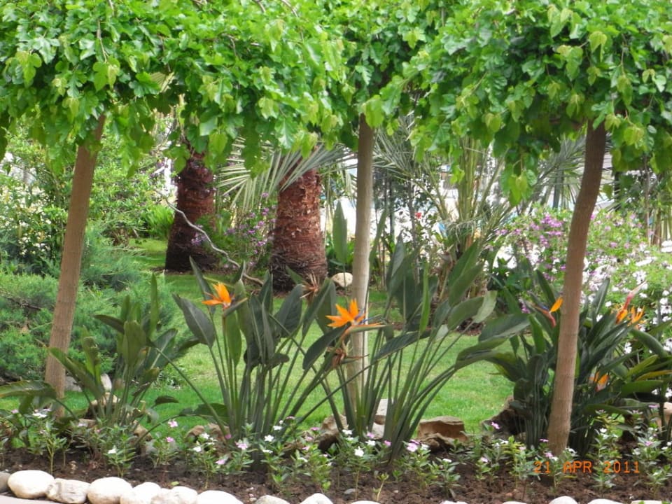 Sehr schön gepflegt Belek Beach Resort Hotel