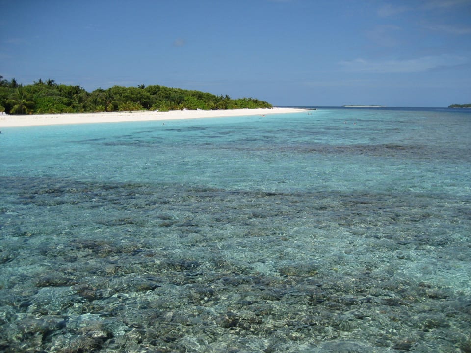 Riff und Strand Adaaran Select Meedhupparu Island Resort - Premium All Inclusive