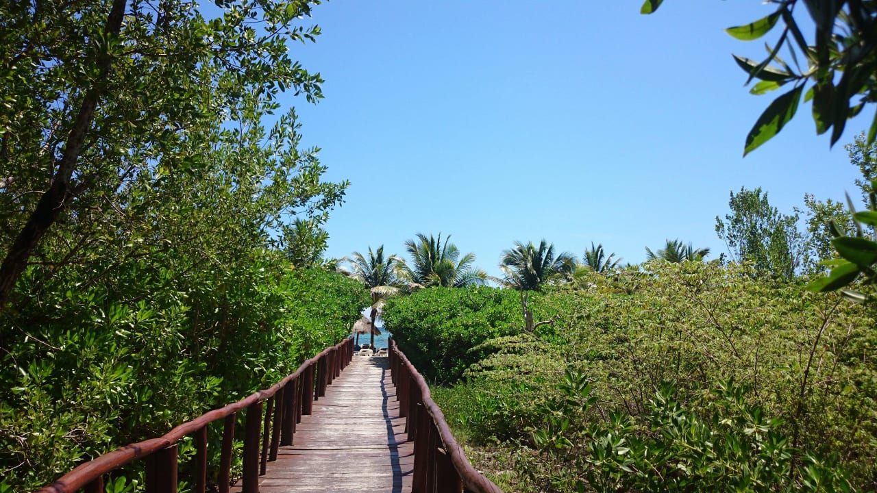 Weg zum Strand Grand Palladium Select White Sand Resort & Spa