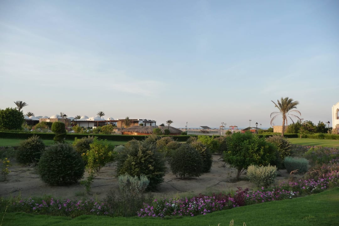 Hauptrestaurant Hotel Gorgonia Beach Resort