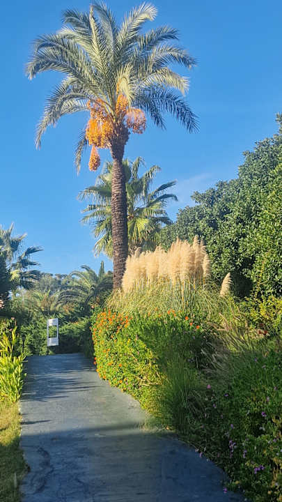 Außenansicht Royal Atlantis Beach Hotel