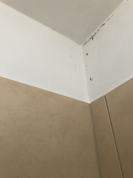 Zimmer Der schöne Asten - Resort Winterberg