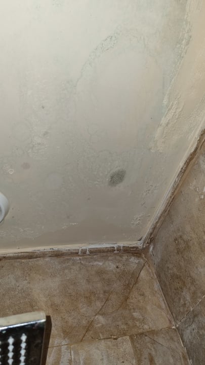 Zimmer Grand Waterworld Makadi & Family Star Makadi