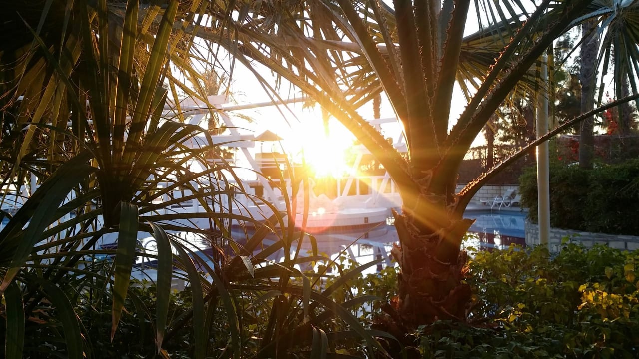 Sonnenuntergang Sealife Buket Resort & Beach