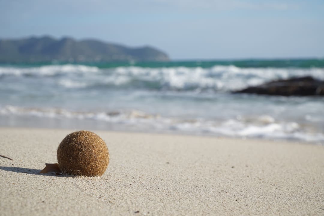 Strand Hipotels Mercedes