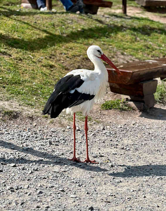 Sonstiges Natur-Resort Tripsdrill