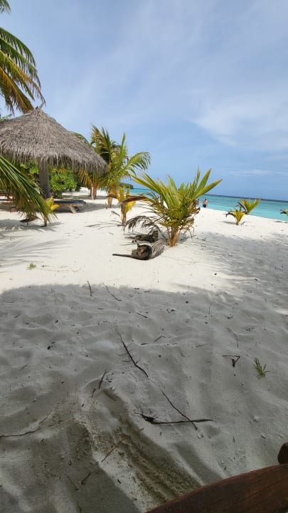 Ausblick Filitheyo Island Resort