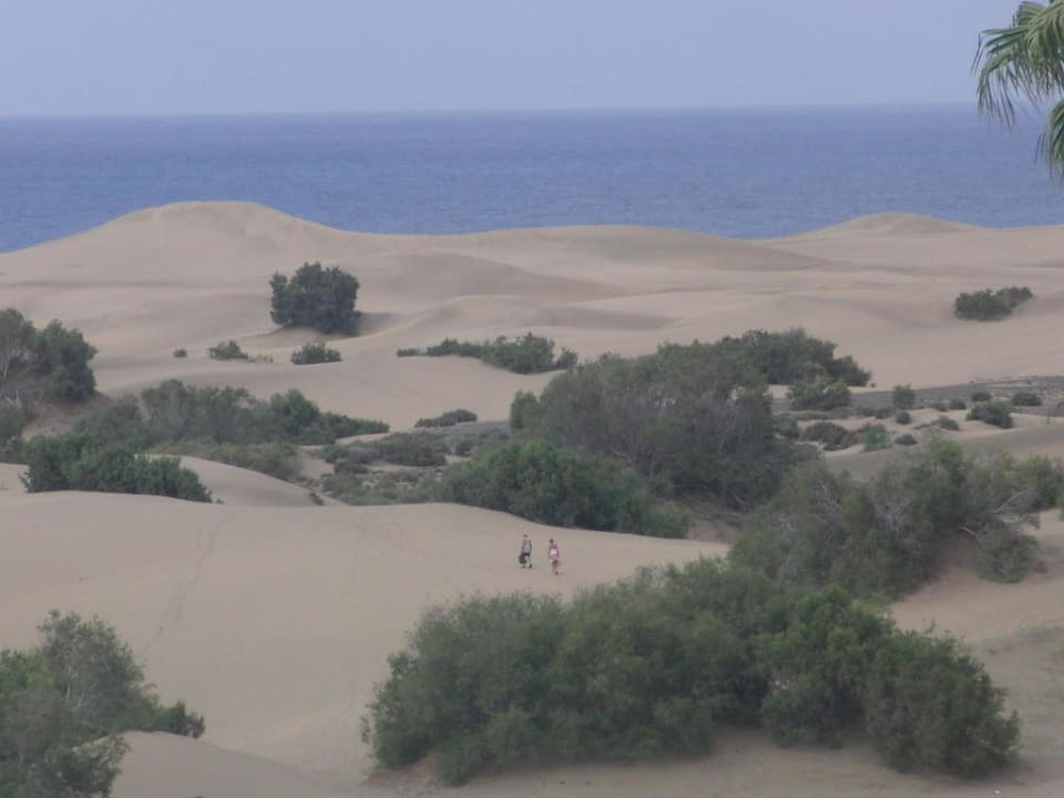 Blick vom Balkon auf die Dünen Hotel Riu Palace Maspalomas Adults Only