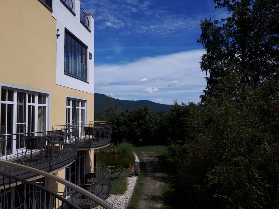 Ausblick Spirit & SPA Hotel Birkenhof am Elfenhain