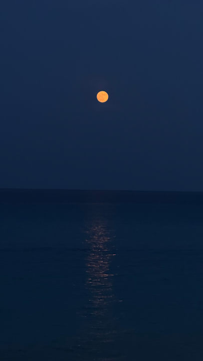 Ausblick Hipotels Hipocampo Playa