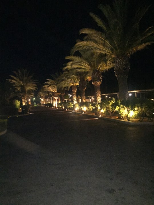 Sonstiges Phãea Cretan Malia