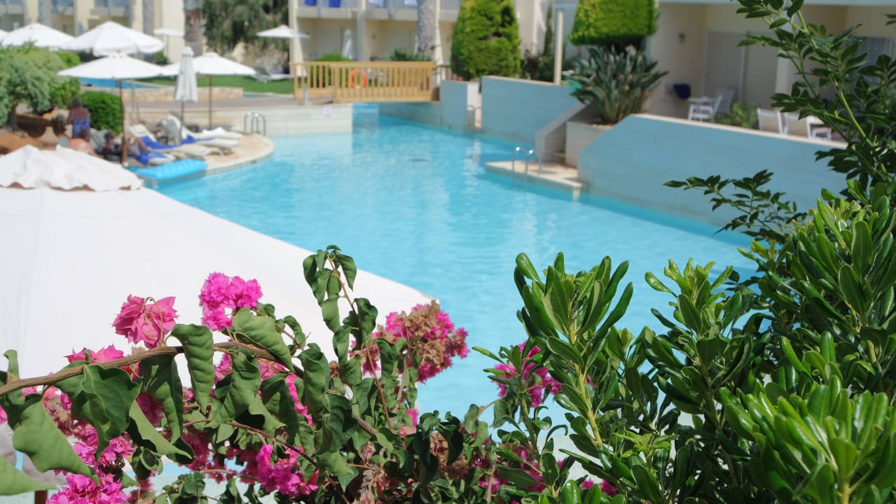 Ein Bereich von mehreren Phãea Cretan Malia