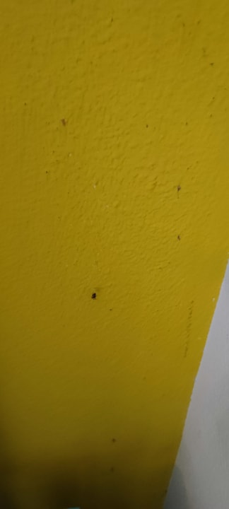 Zimmer Center Parcs Park Nordseeküste