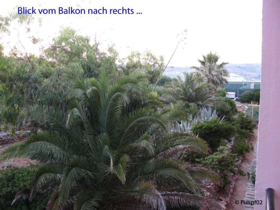 Garten rechts Comino Hotel & Bungalows