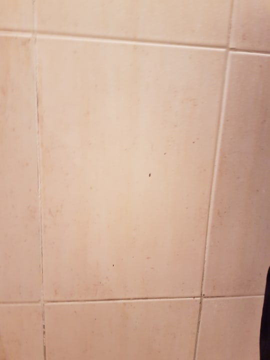 Zimmer Brayka Bay Resort