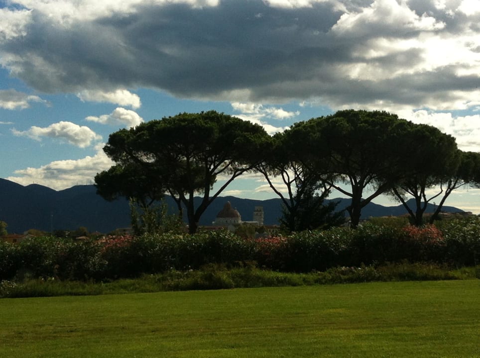 Pisa Tower View from Hotel Pisa Tower Plaza